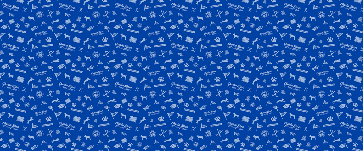 Get Rhetty for Giving Day - blue background