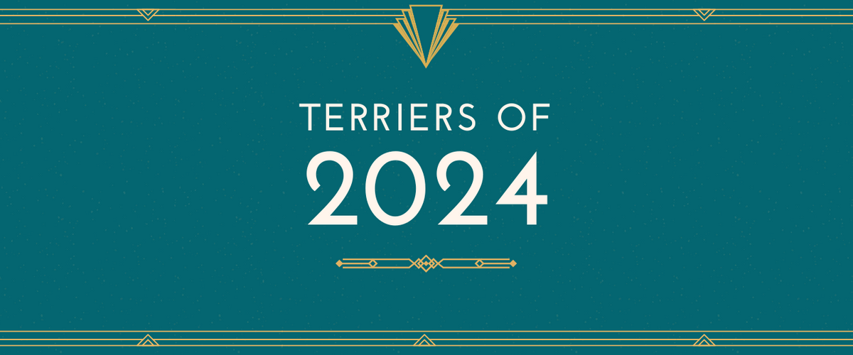 Terriers of 2024 banner